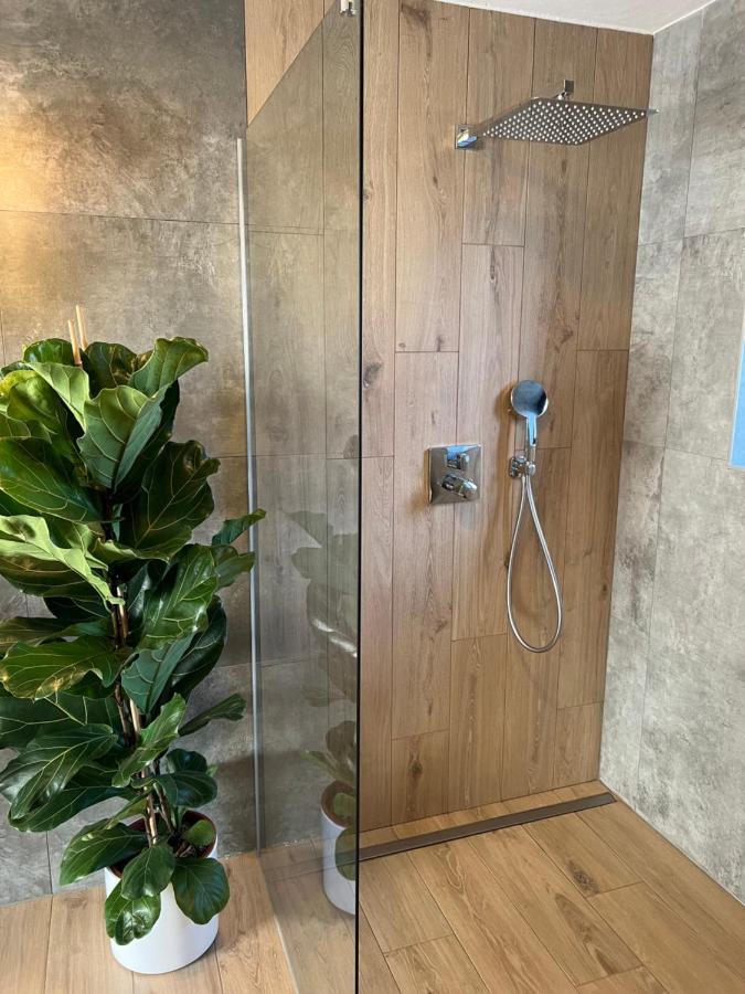Vila Dvorecna Villa Loucovice Ngoại thất bức ảnh
