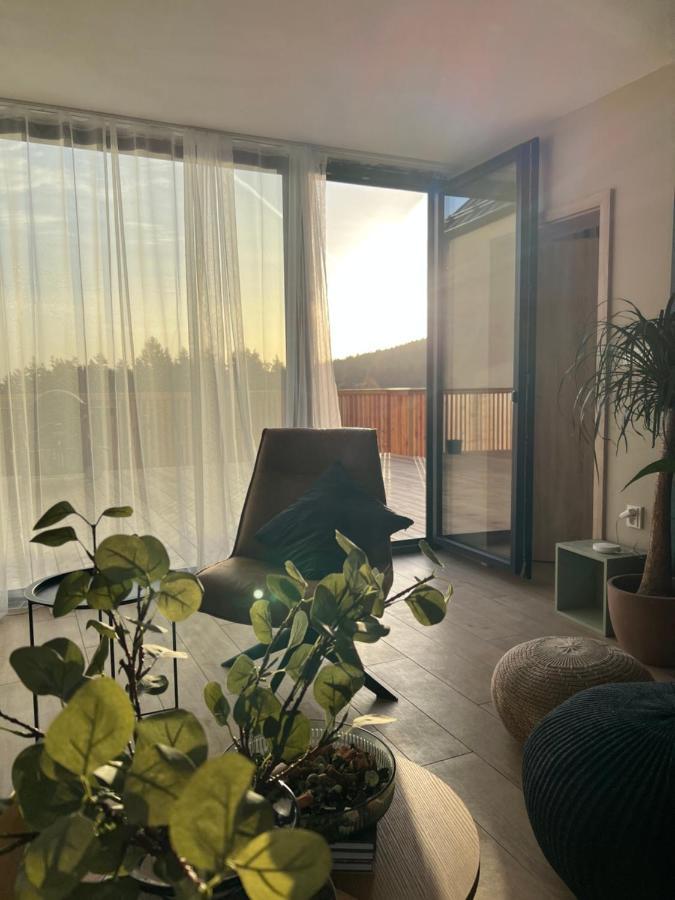 Vila Dvorecna Villa Loucovice Ngoại thất bức ảnh