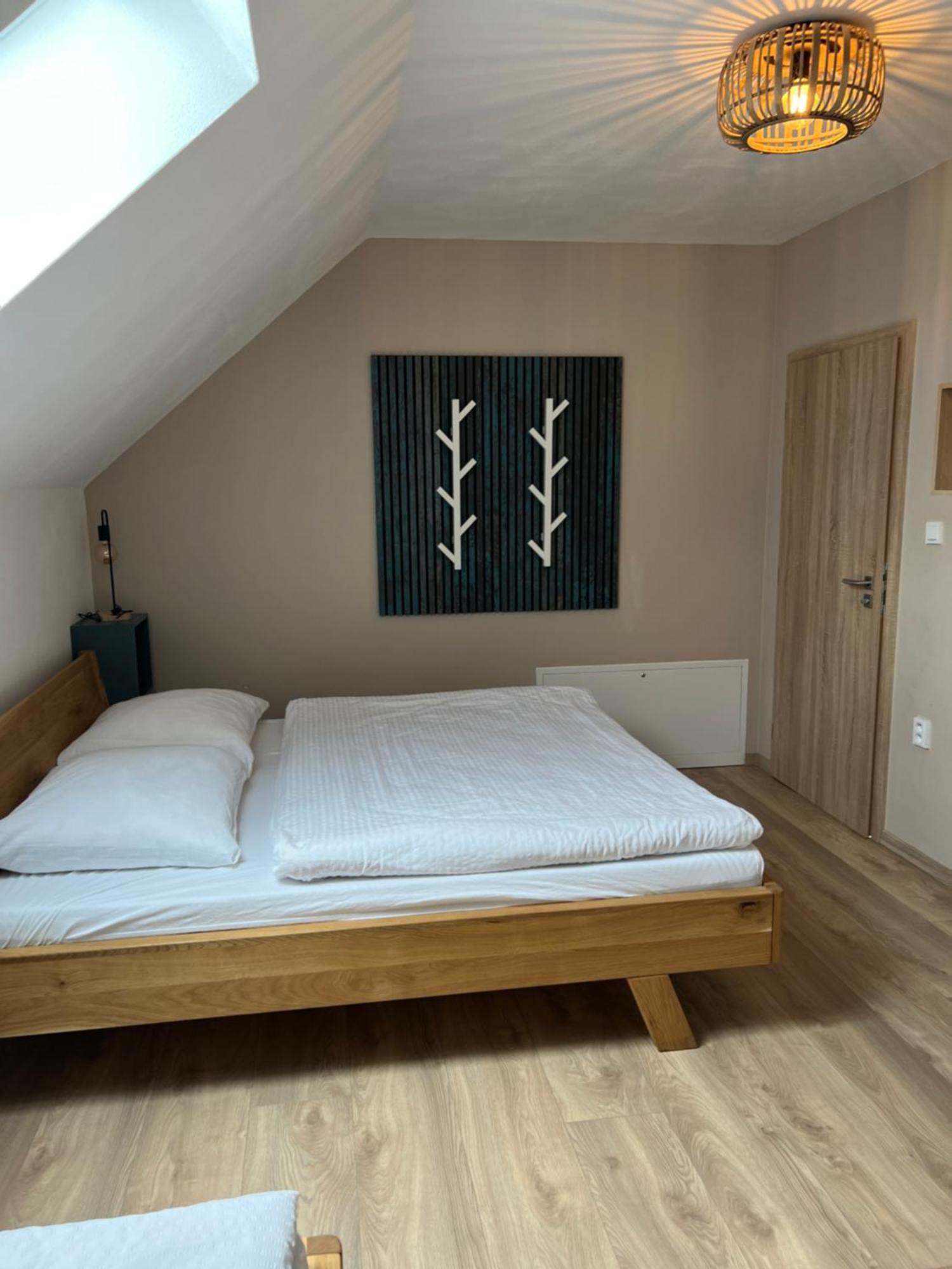 Vila Dvorecna Villa Loucovice Ngoại thất bức ảnh